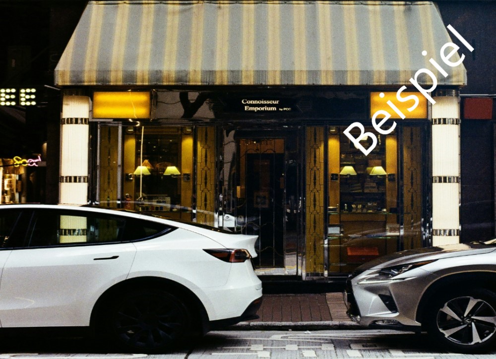 Immobilien-VisionPlus