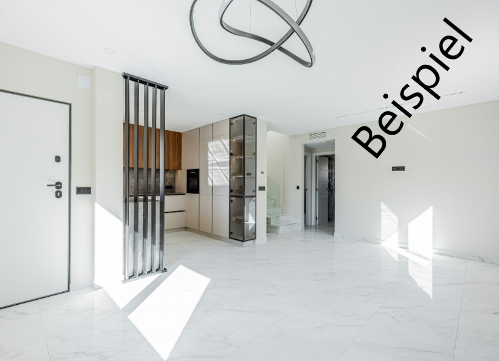 Immobilien-VisionPlus